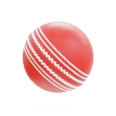 Cricket Ball